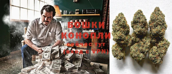 дурь Белоозёрский