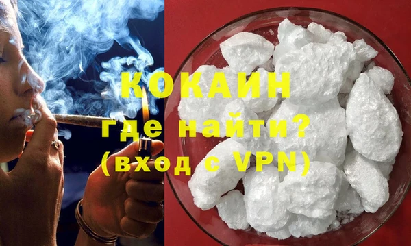 гидра Белокуриха