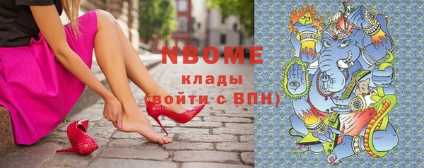 гидра Белокуриха
