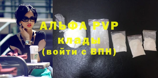 гидра Белокуриха